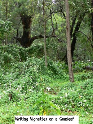 cover image of Writing Vignettes on a Gumleaf